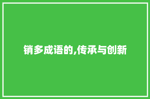 销多成语的,传承与创新