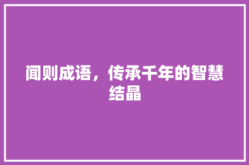 闻则成语，传承千年的智慧结晶