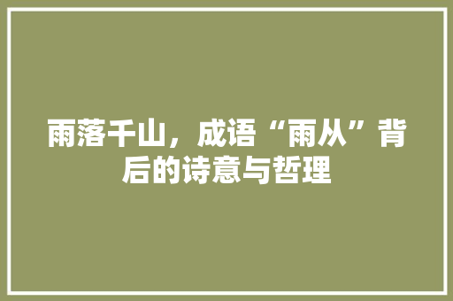 雨落千山，成语“雨从”背后的诗意与哲理