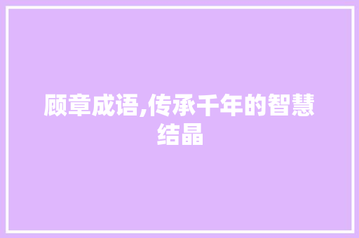 顾章成语,传承千年的智慧结晶 采访稿
