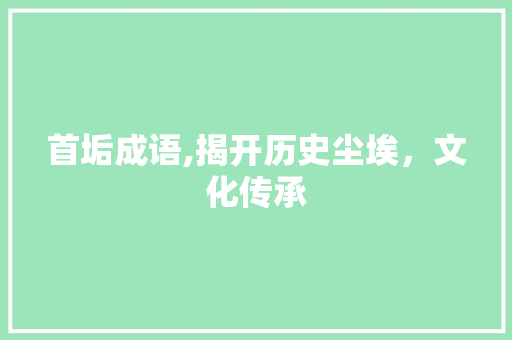 首垢成语,揭开历史尘埃，文化传承