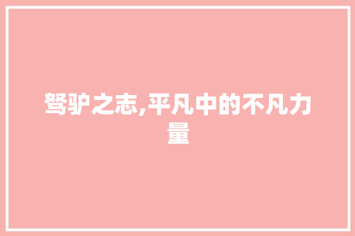 驽驴之志,平凡中的不凡力量