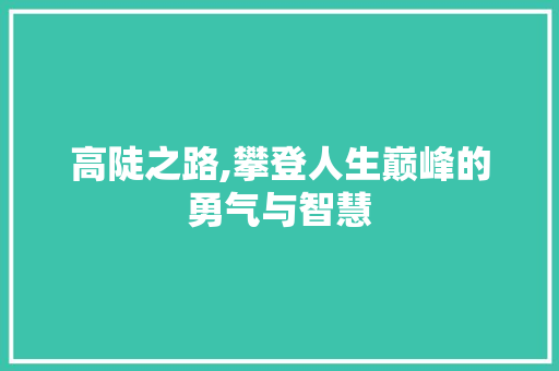 高陡之路,攀登人生巅峰的勇气与智慧