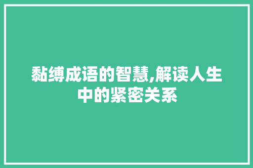 黏缚成语的智慧,解读人生中的紧密关系