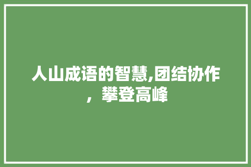 人山成语的智慧,团结协作，攀登高峰