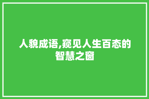 人貌成语,窥见人生百态的智慧之窗
