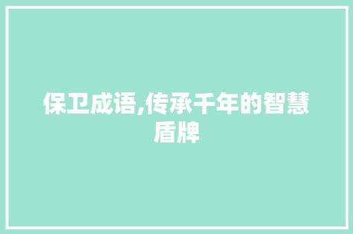 保卫成语,传承千年的智慧盾牌