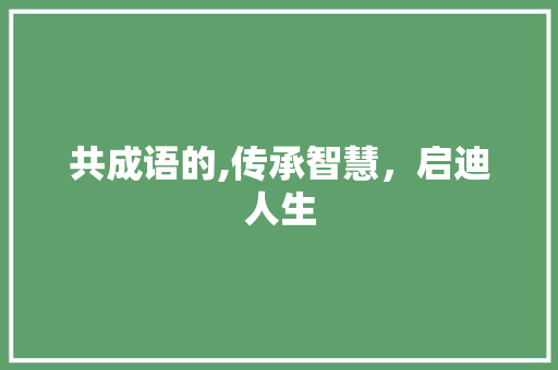 共成语的,传承智慧，启迪人生