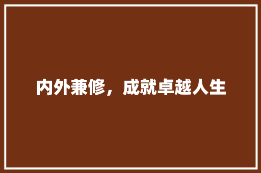 内外兼修，成就卓越人生