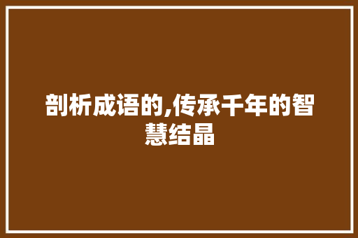 剖析成语的,传承千年的智慧结晶 工作总结