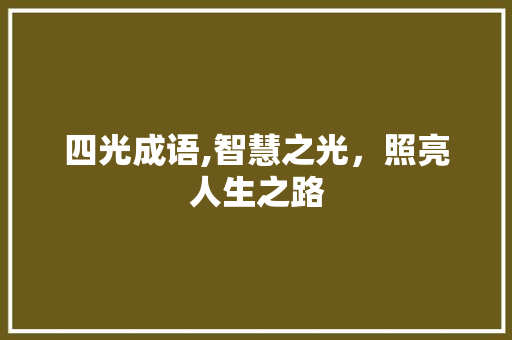 四光成语,智慧之光，照亮人生之路