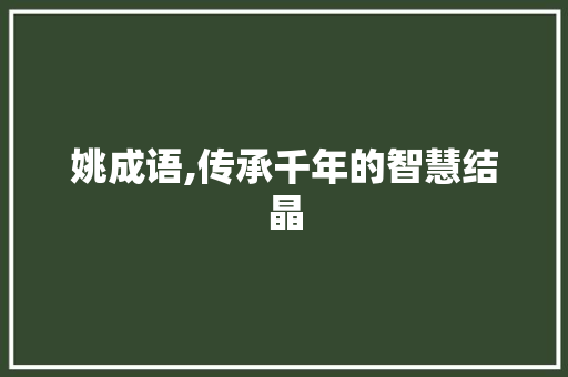 姚成语,传承千年的智慧结晶