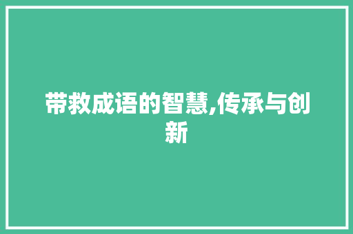 带救成语的智慧,传承与创新