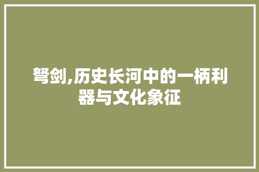 弩剑,历史长河中的一柄利器与文化象征