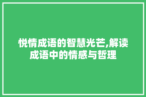 悦情成语的智慧光芒,解读成语中的情感与哲理