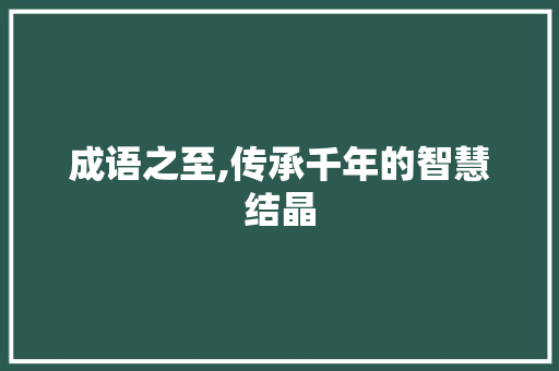 成语之至,传承千年的智慧结晶