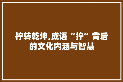拧转乾坤,成语“拧”背后的文化内涵与智慧