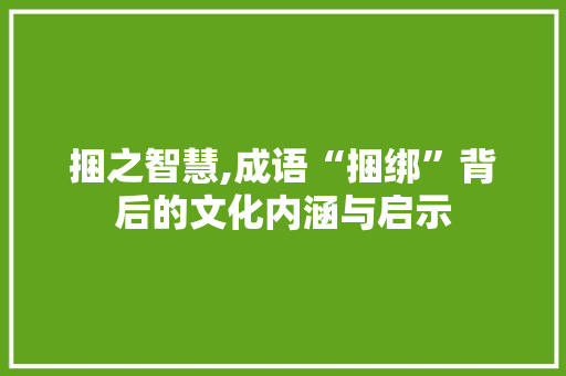 捆之智慧,成语“捆绑”背后的文化内涵与启示