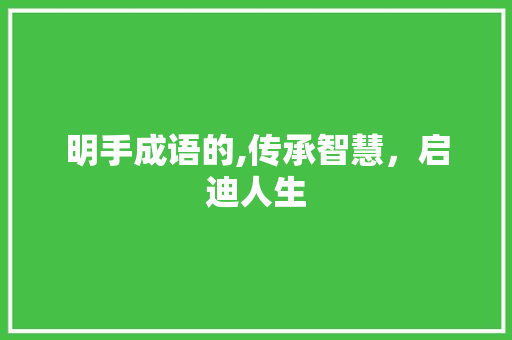 明手成语的,传承智慧，启迪人生