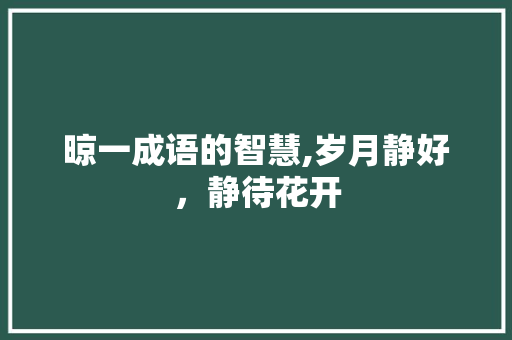 晾一成语的智慧,岁月静好，静待花开