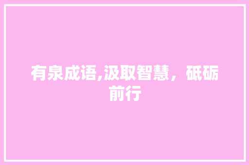 有泉成语,汲取智慧，砥砺前行