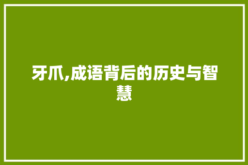 牙爪,成语背后的历史与智慧