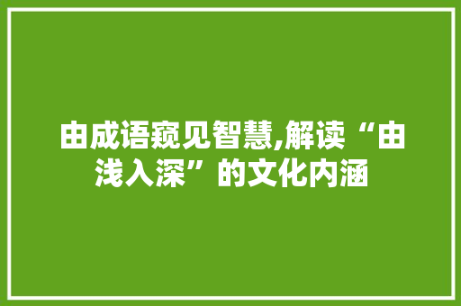 由成语窥见智慧,解读“由浅入深”的文化内涵