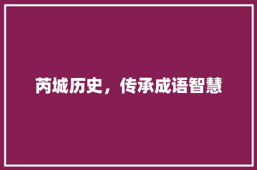 芮城历史，传承成语智慧 生活类
