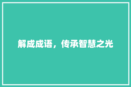 解成成语，传承智慧之光