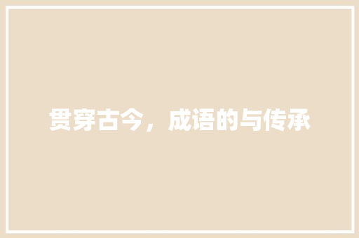 贯穿古今，成语的与传承