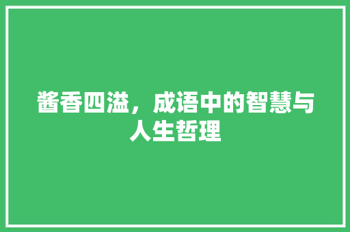 酱香四溢，成语中的智慧与人生哲理
