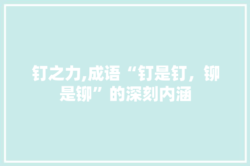钉之力,成语“钉是钉，铆是铆”的深刻内涵