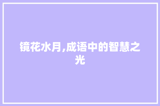 镜花水月,成语中的智慧之光 生活随笔