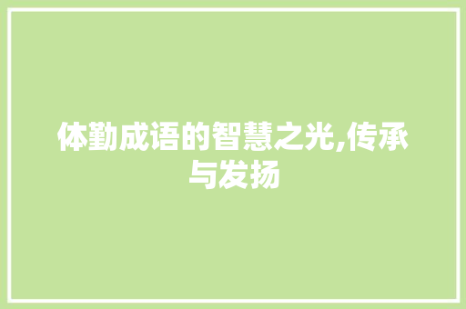 体勤成语的智慧之光,传承与发扬 工作类