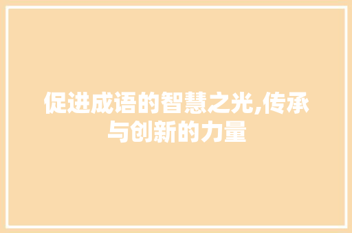 促进成语的智慧之光,传承与创新的力量 工作报告