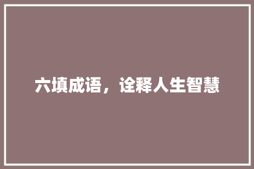 六填成语，诠释人生智慧 工作报告