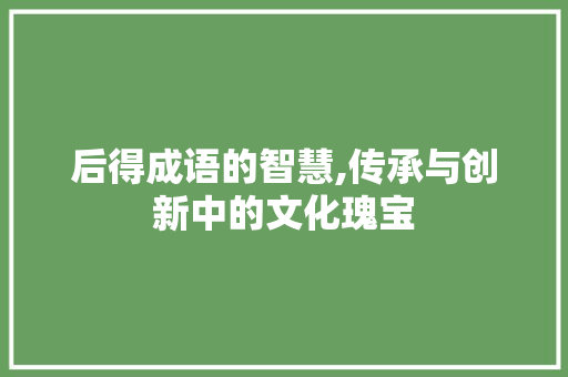 后得成语的智慧,传承与创新中的文化瑰宝