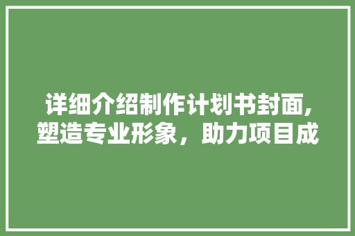 详细介绍制作计划书封面,塑造专业形象，助力项目成功