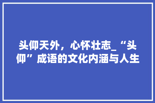 头仰天外，心怀壮志_“头仰”成语的文化内涵与人生启示