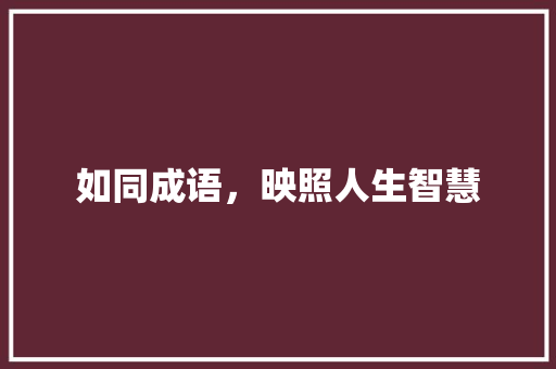 如同成语，映照人生智慧