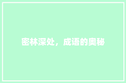 密林深处，成语的奥秘