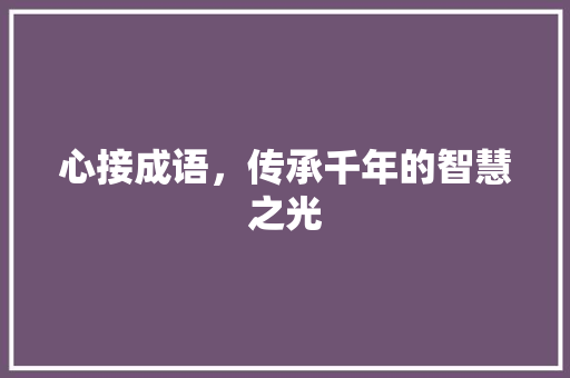 心接成语，传承千年的智慧之光 工作总结