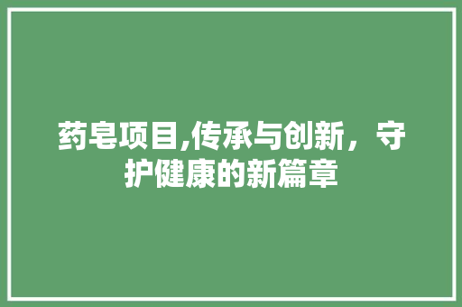 药皂项目,传承与创新，守护健康的新篇章