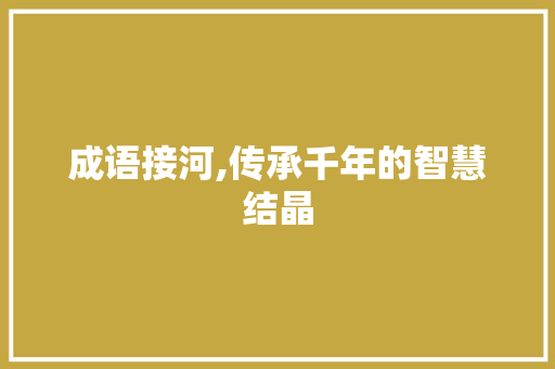 成语接河,传承千年的智慧结晶