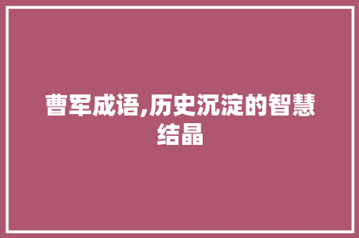 曹军成语,历史沉淀的智慧结晶