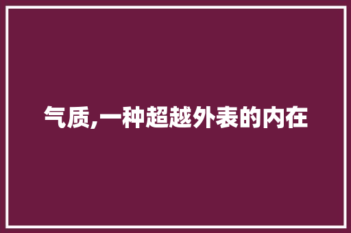 气质,一种超越外表的内在