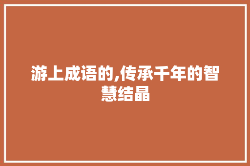 游上成语的,传承千年的智慧结晶