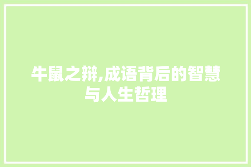 牛鼠之辩,成语背后的智慧与人生哲理