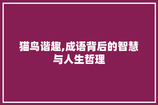 猫鸟谐趣,成语背后的智慧与人生哲理