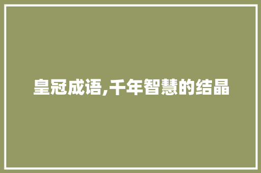皇冠成语,千年智慧的结晶